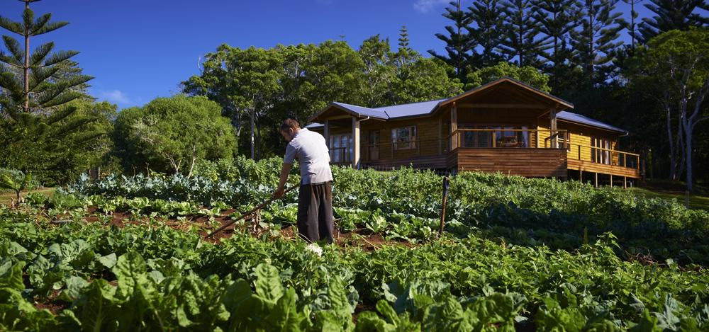 Hilli Mastering Taste Tour-诺福克岛必去景点