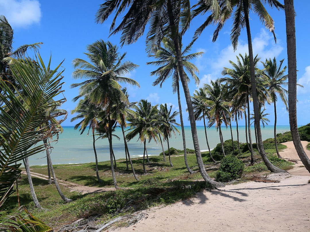 Cotia Beach景点图片