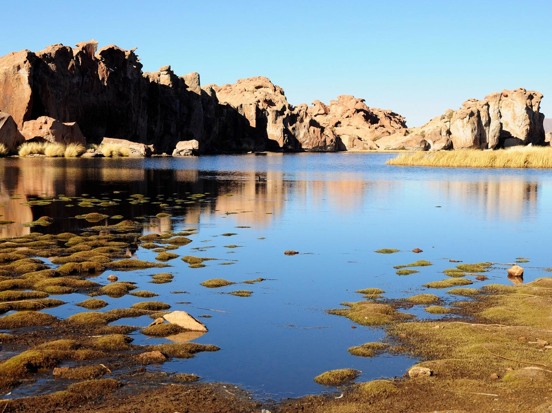 Laguna Negra景点图片