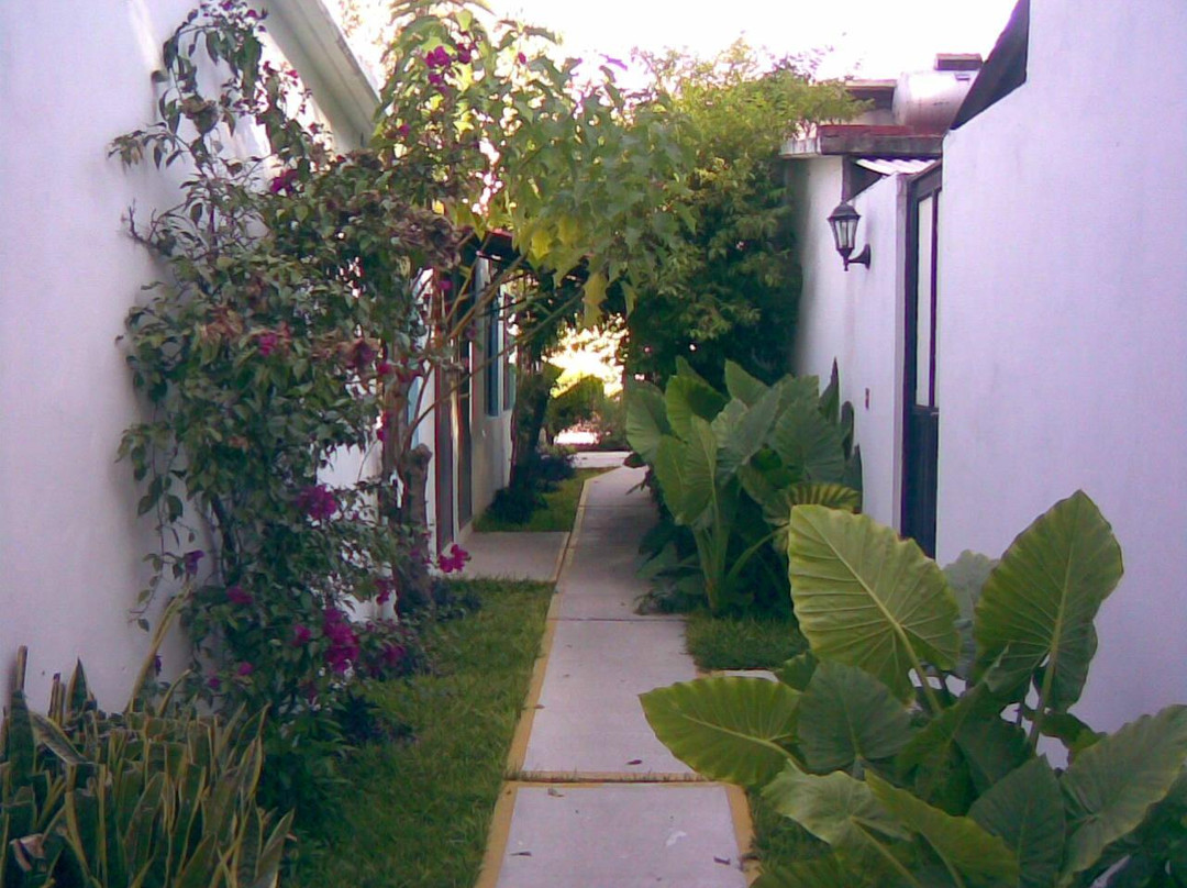 Hotel Tecozautla主图