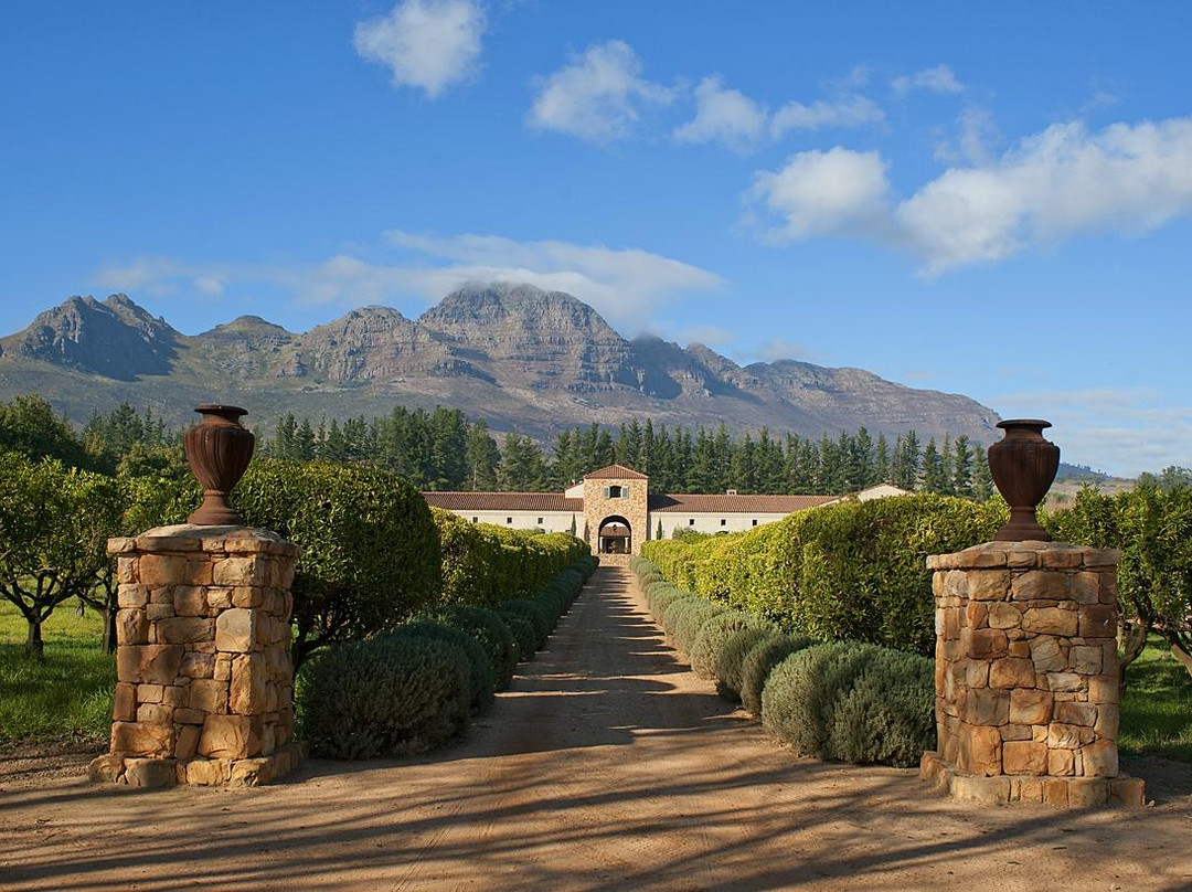 Waterford Estate-斯泰伦博斯必去景点