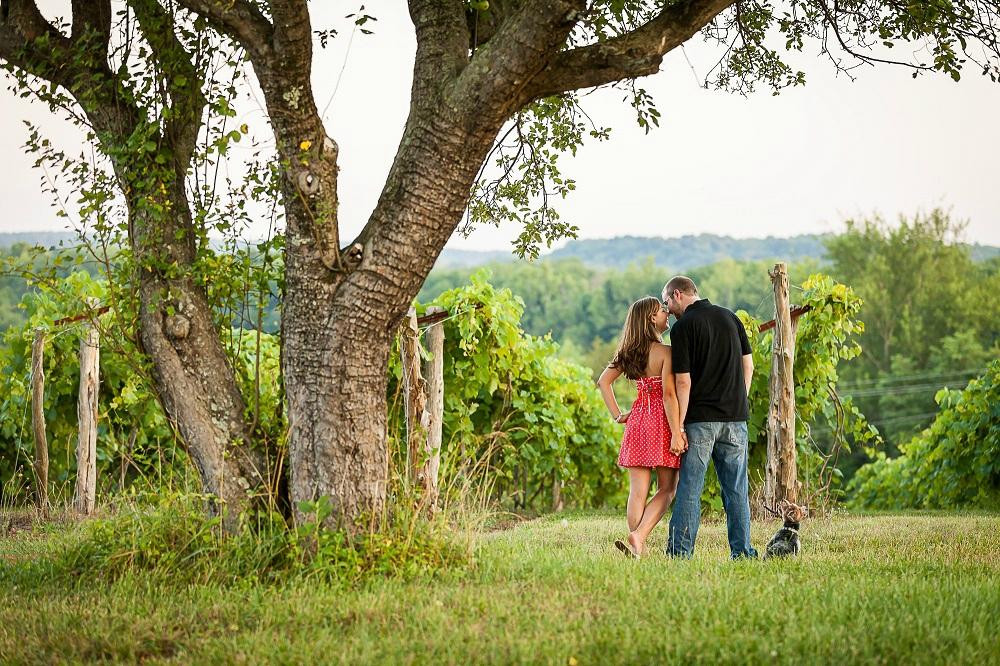 Elk Island Winery-Goochland必去景点