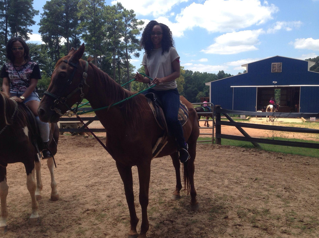 Pure Horse Play-Griffin必去景点