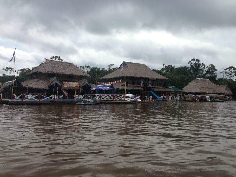 Bufeo Colorado Amazonas