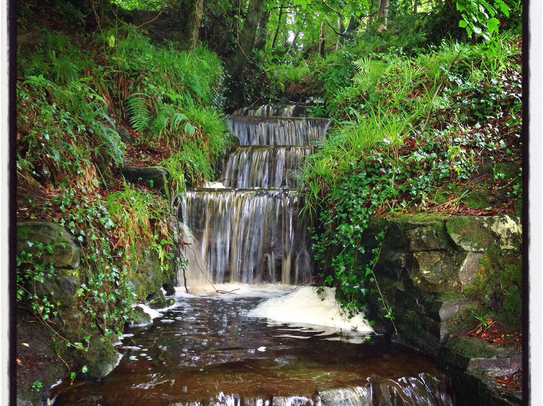 Swan Park-Buncrana必去景点