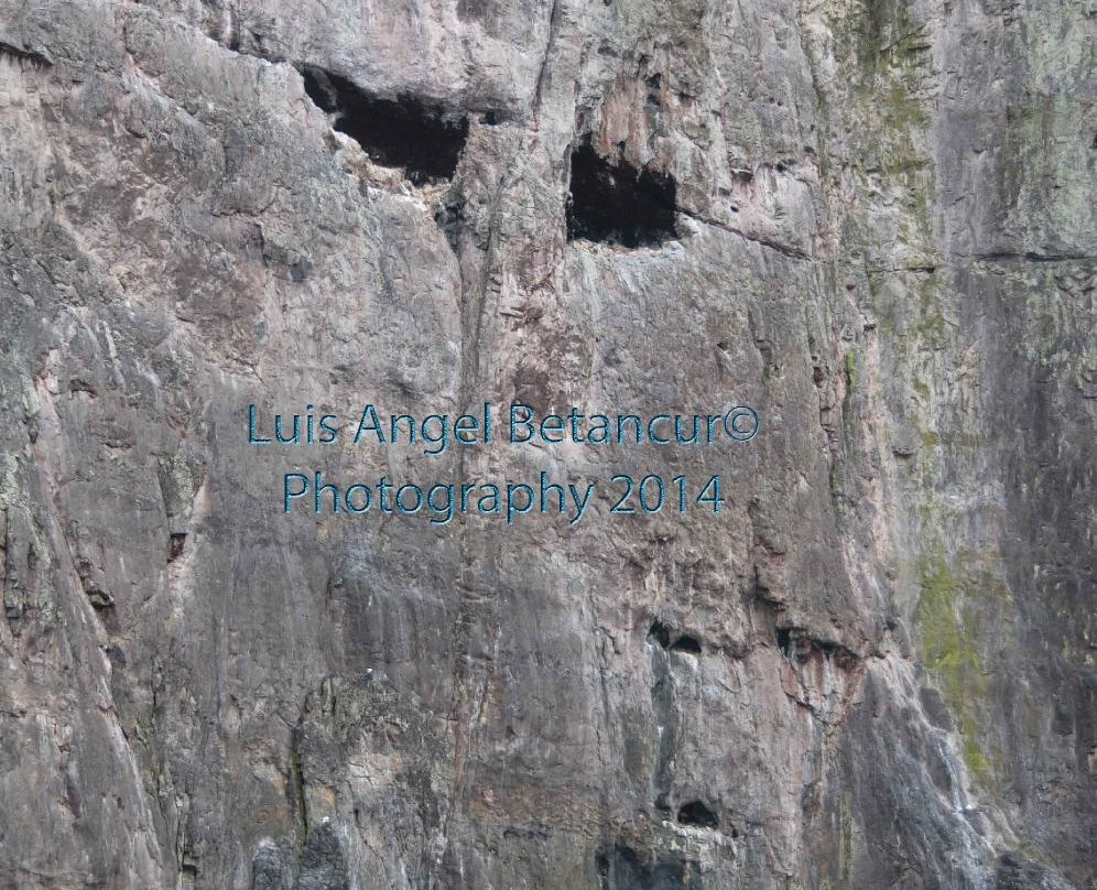 马尔佩洛岛动植物保护区-Malpelo Island必去景点