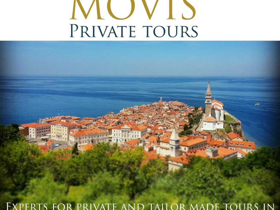Movis Private Tours景点图片