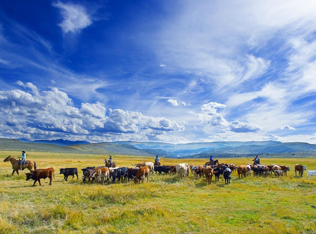 Triple G Outfitters-Wolcott必去景点