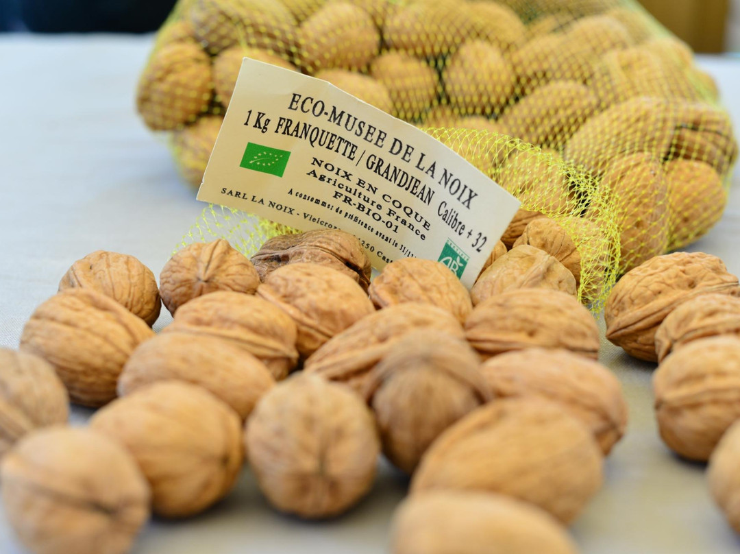 Ecomusée de la Noix-Castelnaud-la-Chapelle必去景点