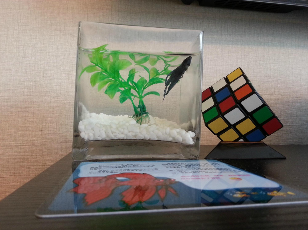 上海桔子酒店公平路北外滩精选酒店主图