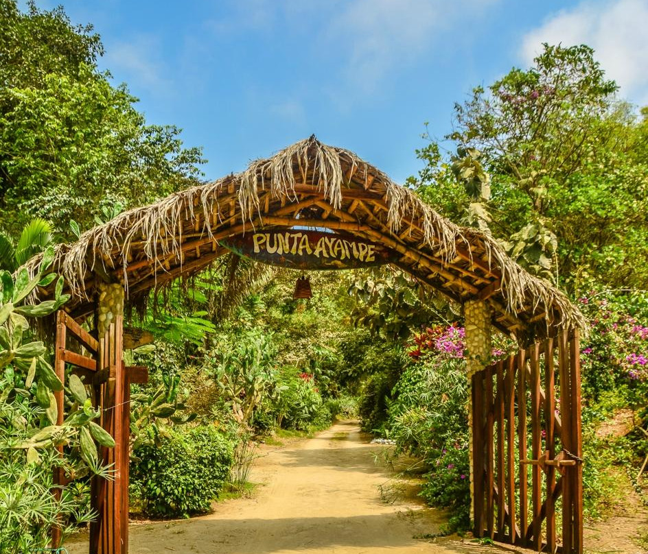 Finca Punta Ayampe