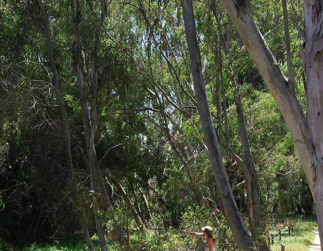 Batiquitos Lagoon-卡尔斯巴德必去景点