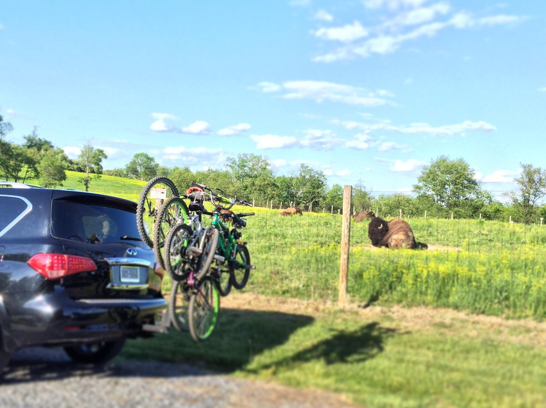 Trexler Nature Preserve-Schnecksville必去景点