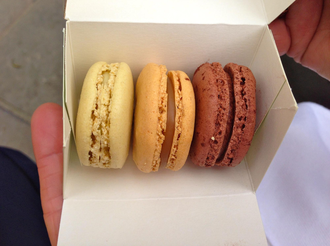 Best Tours-纽约市必去景点