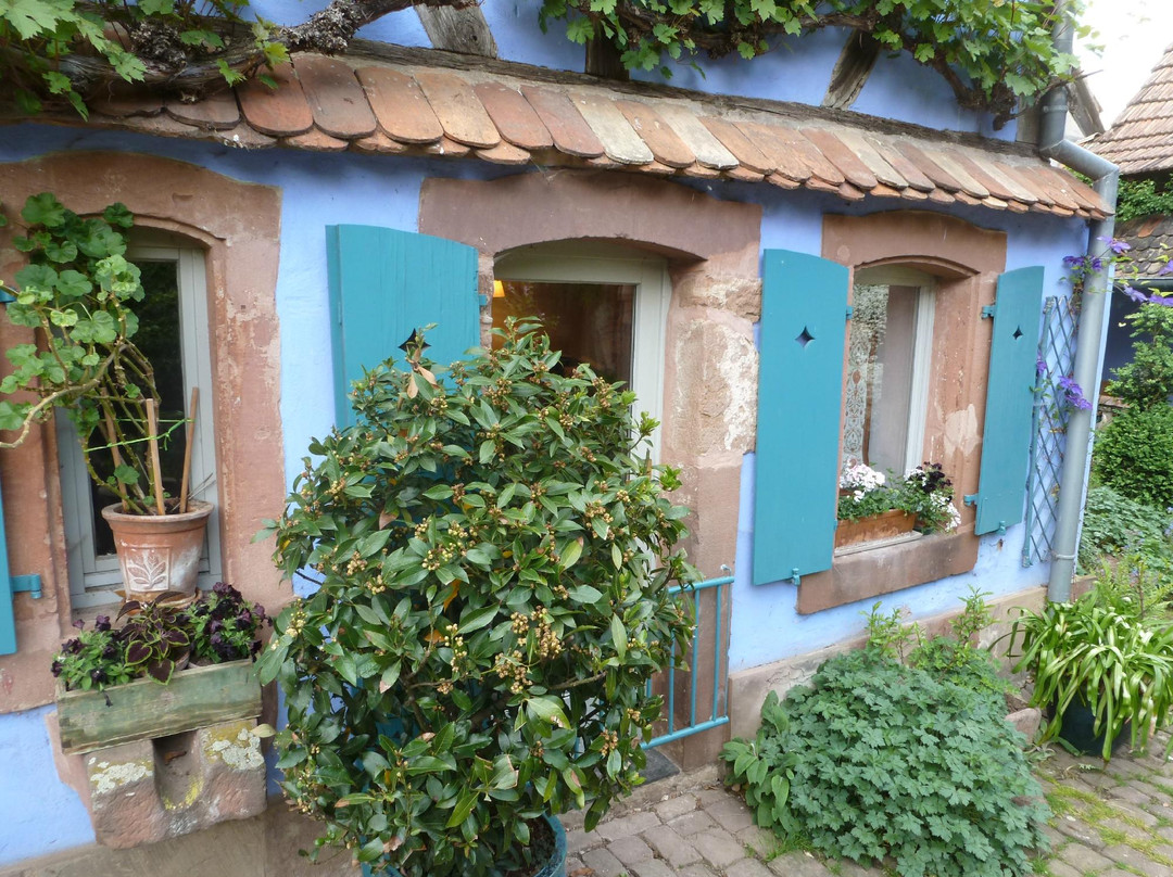Jardin De La Ferme Bleue景点图片