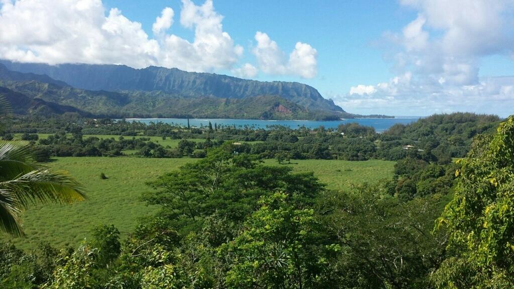 Moloa'a Beach House-酒店景观