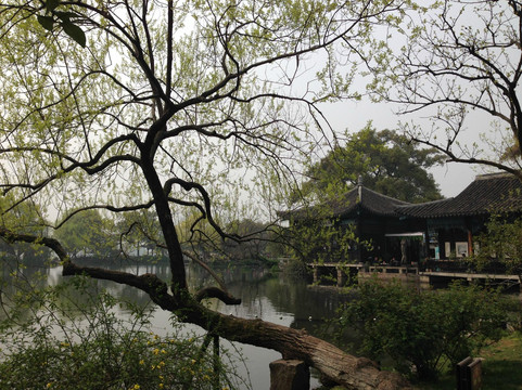 杭州西湖大华饭店主图