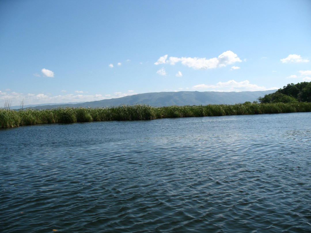 Black River-Black River必去景点