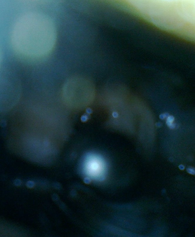 Manihiki Pearl Techs-拉罗汤加必去景点