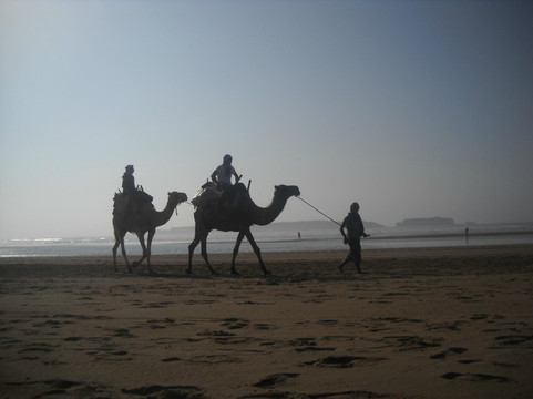 Lima Dromadaire-索维拉必去景点