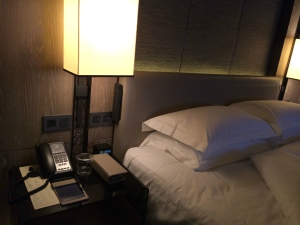 深圳东华假日酒店-客卧