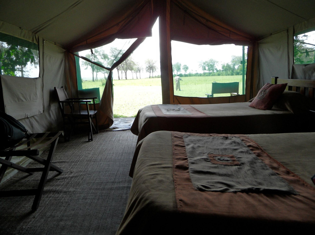 Kingi Safaris - Private Day Tours景点图片