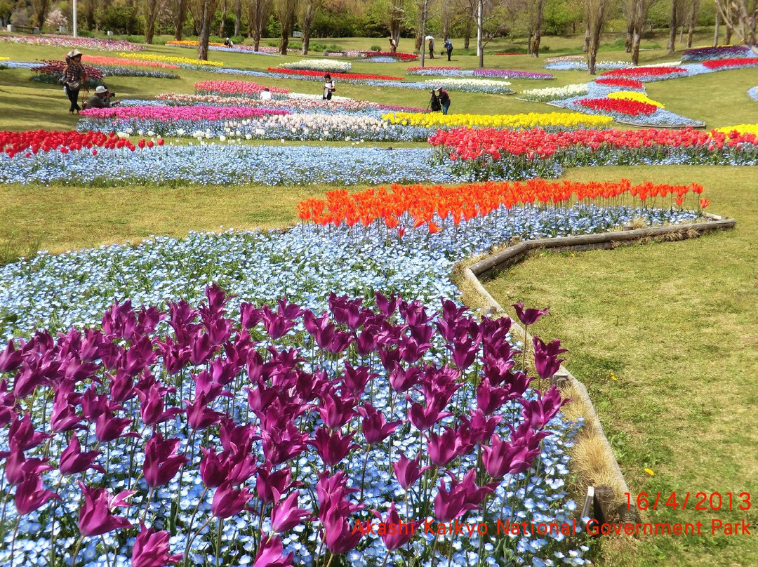 Awajishima Park-淡路市必去景点