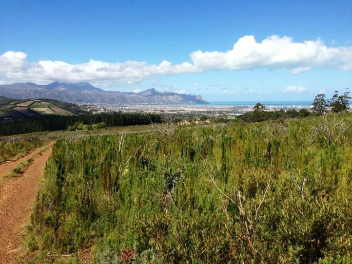 Helderberg Nature Reserve-西索美塞必去景点