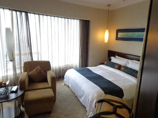 国信紫金山大酒店主图