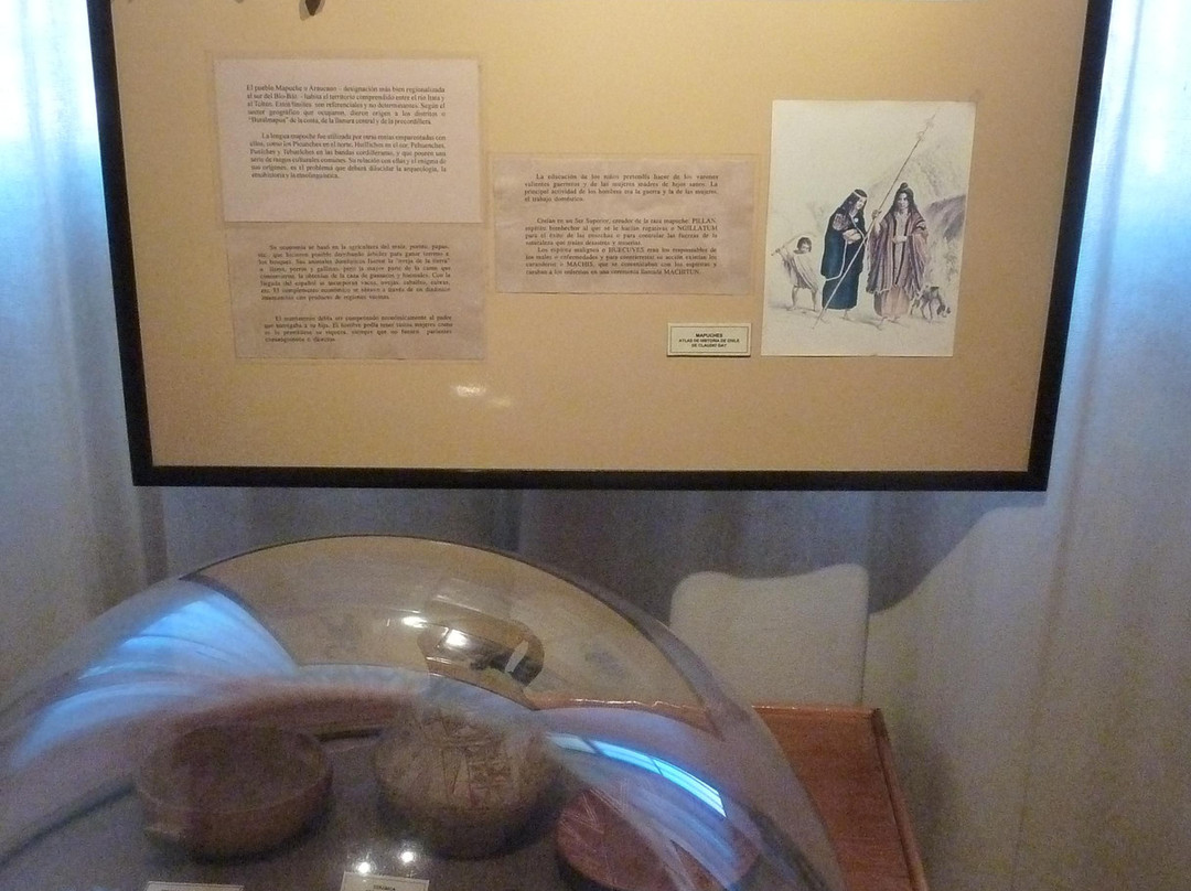 Museo Arqueológico de La Serena-拉塞雷纳必去景点