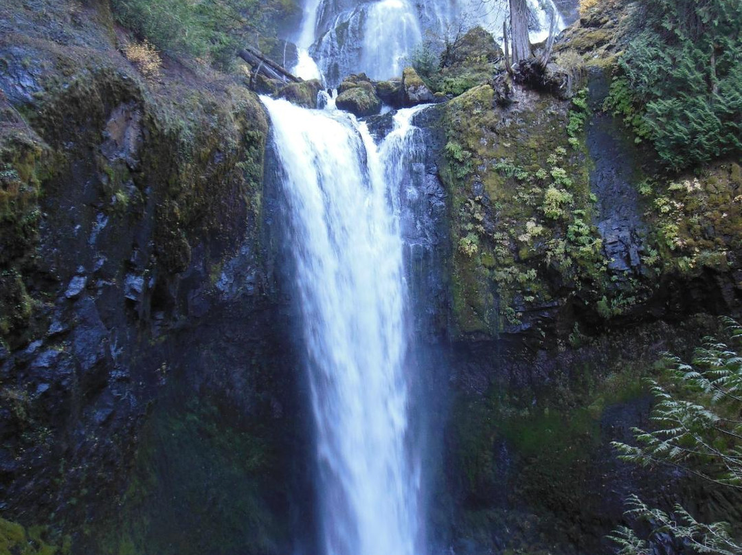 Falls Creek Falls-Carson必去景点