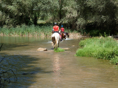 Cavalls de Trulls-Viver必去景点
