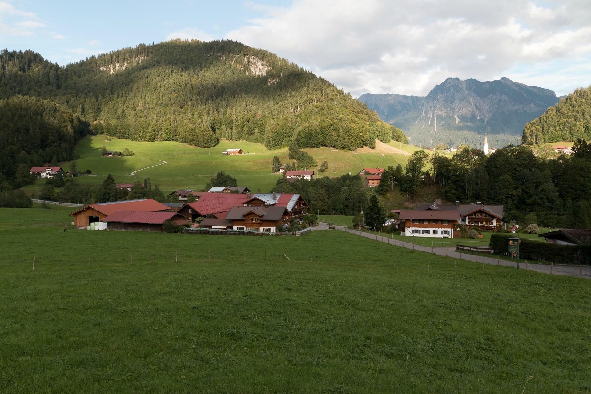 Berghof Rietzler-酒店景观