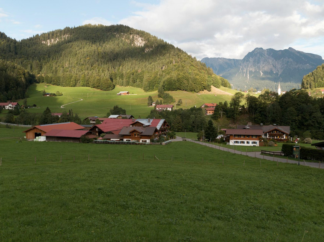 Berghof Rietzler主图