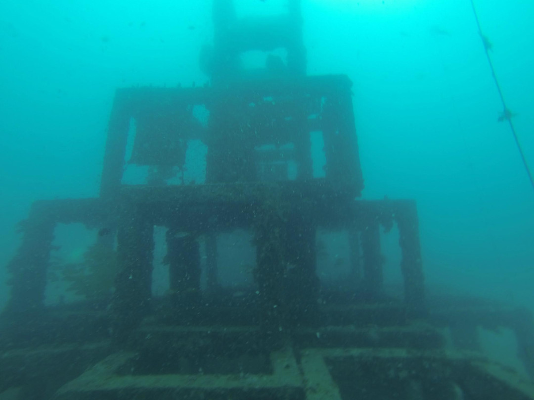 Phi Phi Sea Frog Diving-大皮皮岛必去景点