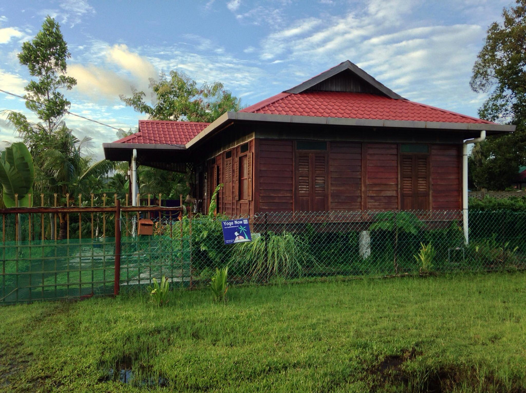 Yoga Now Langkawi景点图片