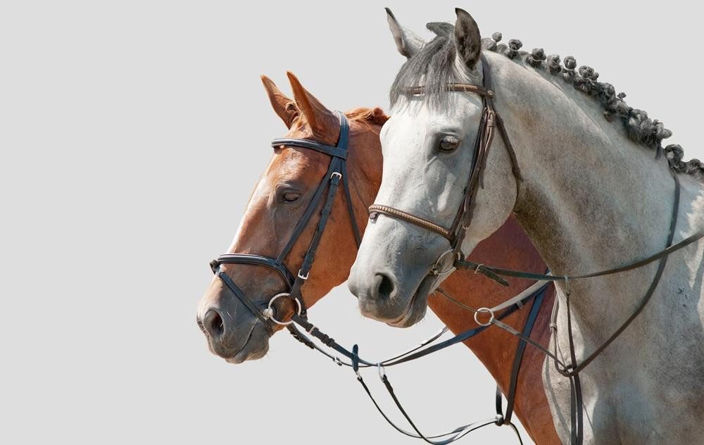 Ride Egypt-赫尔格达必去景点