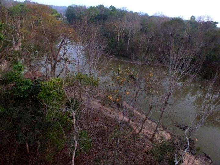 Rema-Kalenga Wildlife Sanctuary-锡尔赫特必去景点