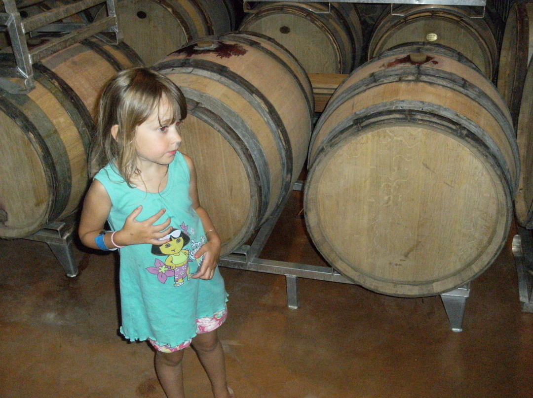 Domaine Franck Besson-Jullie必去景点