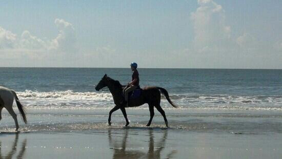 Seabrook Island Equestrian Center景点图片