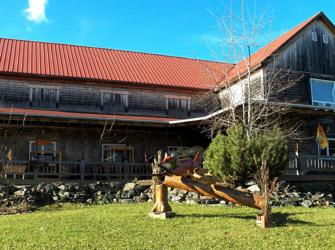 O'Toole Gallery & Celtic Fox Studio-Grafton必去景点