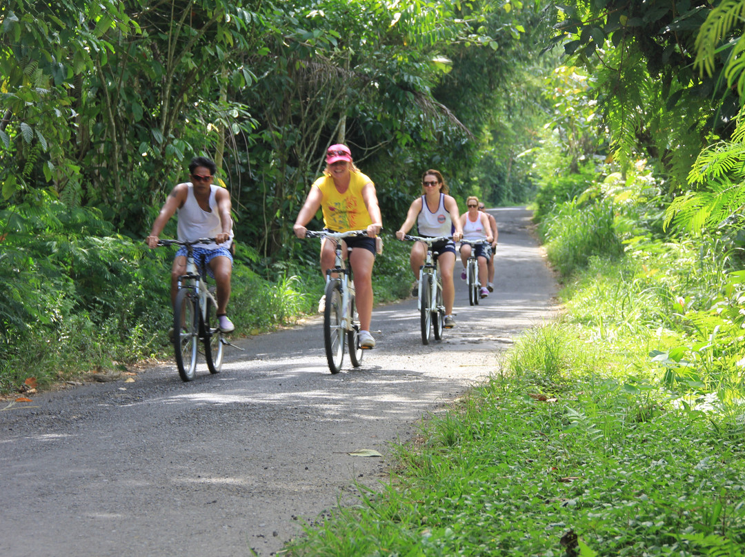Bali Same Bike - Private Tours景点图片
