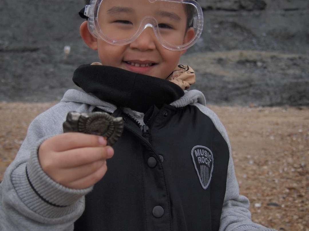 Lyme Regis fossil walks-Charmouth必去景点