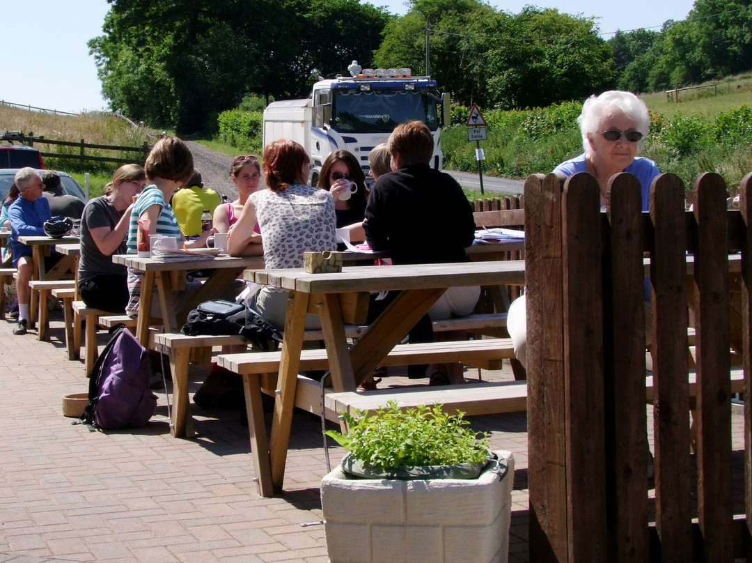 Lillypool Farm and Cafe