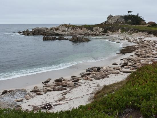 Adventures by the Sea-蒙特雷必去景点