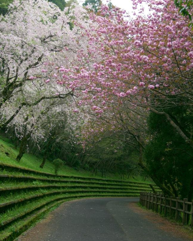 Mochio Park-都城市必去景点