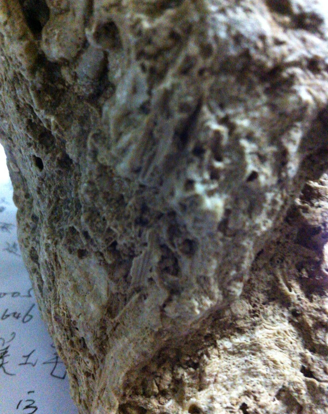 宝鸡市博物馆-宝鸡市必去景点