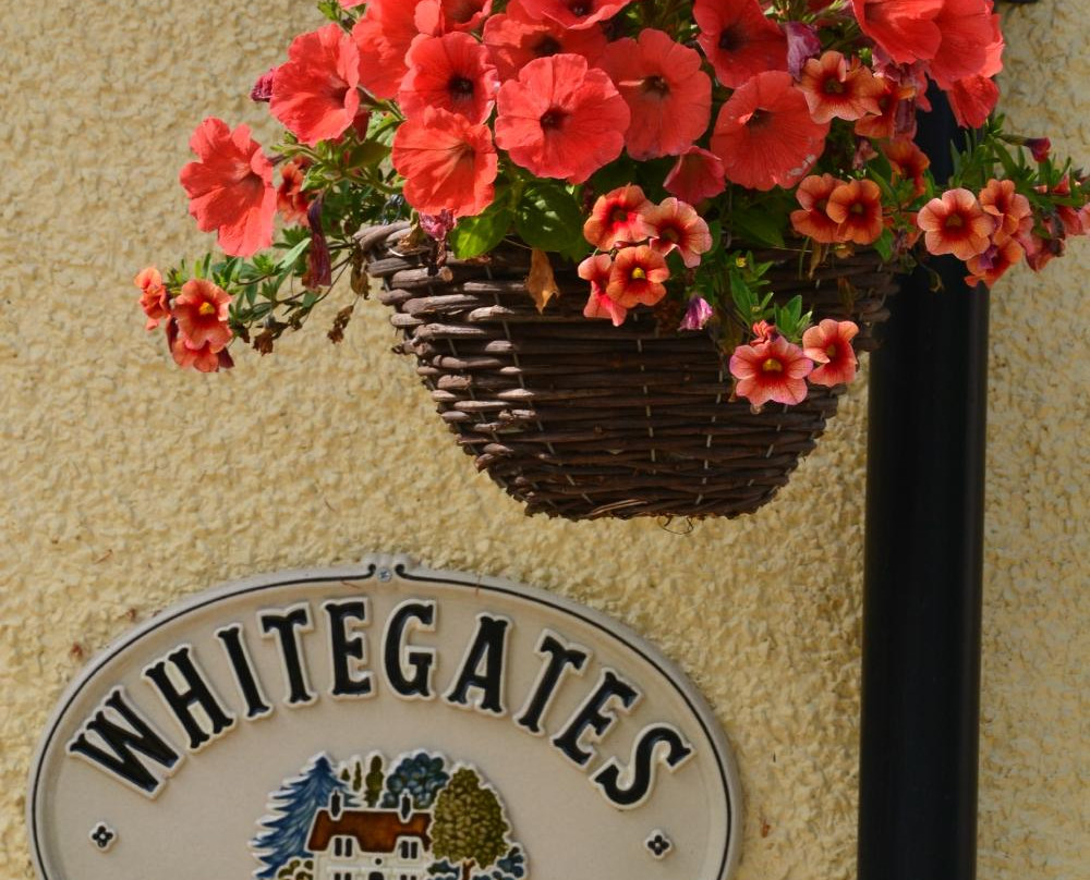 Whitegates Guest House主图