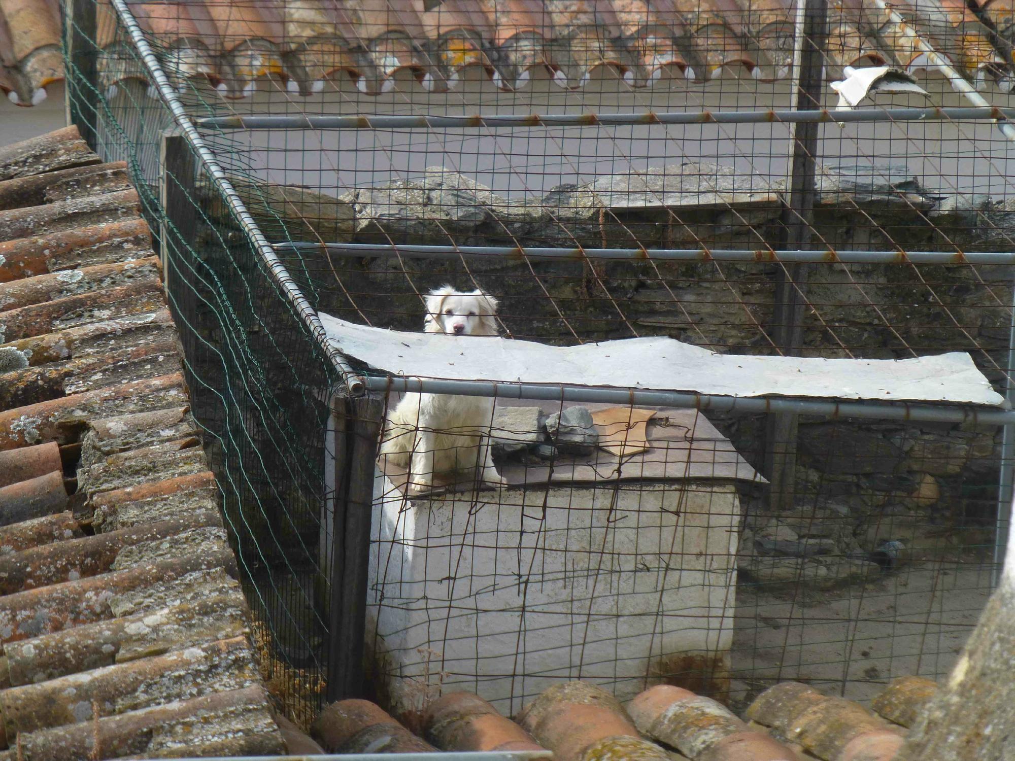 Casa Rural Santo Condestavel-酒店景观