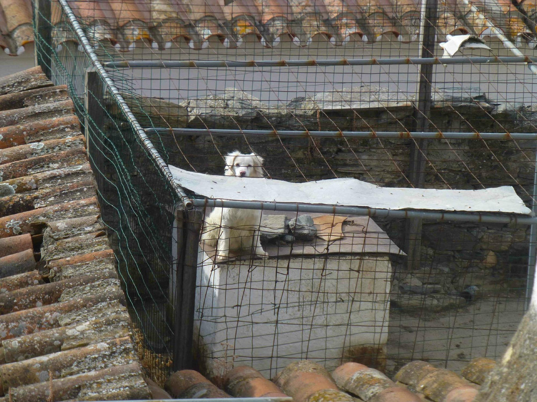 Casa Rural Santo Condestavel主图